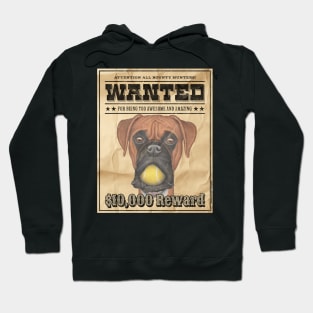 funny Cute Boxer Dog Wanted Poster Hoodie